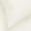 00-0008-PAPYRUS