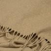 00-0431-CAMEL