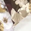 20-0095-BROWN