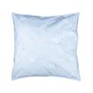 20-0877 LOGO-L.BLUE