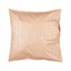 20-1342 LOGO-PEACH