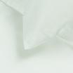 00-0000-OP.WHITE