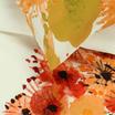 20-0072-ORANGE