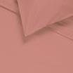 00-0132-T.ROSE