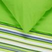 30-0249-GREEN VIOLET