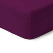 00-0221-DARK PLUM