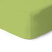 JERSEY-LIGHT GREEN