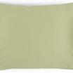 00-0188-PALE OLIVE