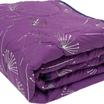 70-0017-VIOLET/SILVER