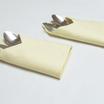 80-0002-IVORY
