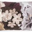 20-0095-BROWN