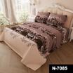 40-1038-BROWN