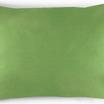 00-0252-IGUANA GREEN