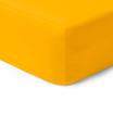 00-0415-MUSTARD