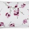 20-0085-PLUM
