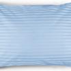 00-0416-1 POWDER BLUE MON