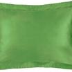 00-0252-IGUANA GREEN