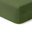 00-0413-MOSS GREEN