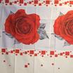 20-0208-ROSE